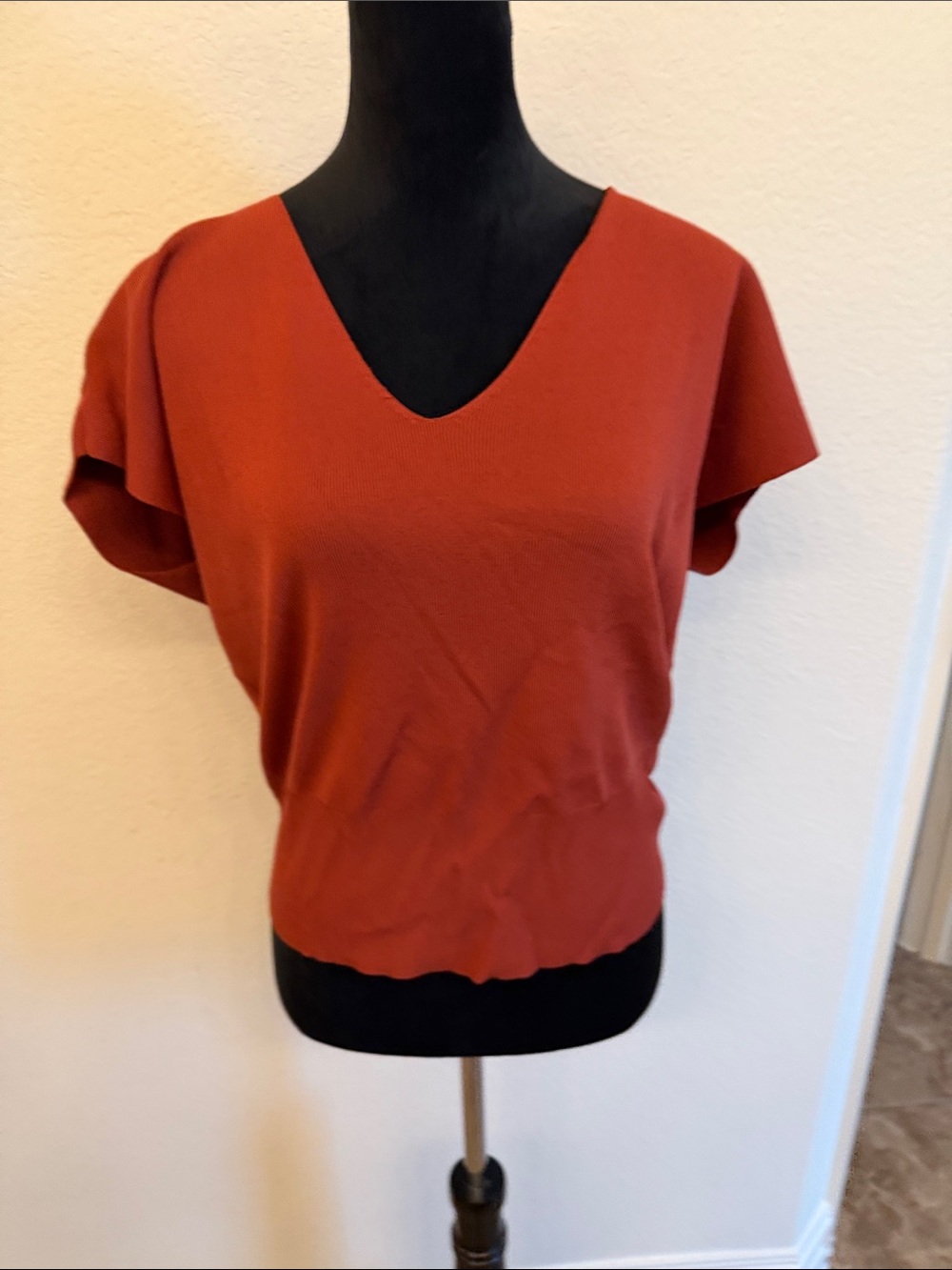 Ann Taylor Factory Short Sleeve V-Neck Top in Rust